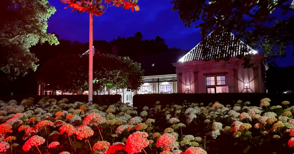 Een Verjaardagsfeest in Stijl op Landgoed Groenendaal