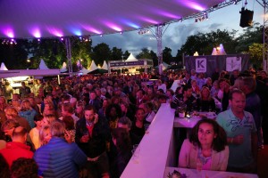 Publiek Sonny's Inc op Lekker laren 2014