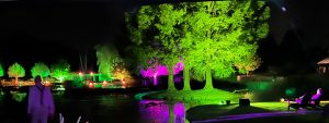 huwelijksfeest in Nuenen 1600 x 600